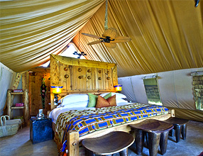 African Safari Tented Camp 01